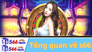 Tổng quan về s66