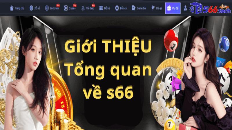 Tổng quan về s66